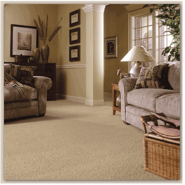 roomcarpet.gif roomcarpet.gif